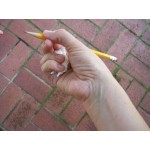 Как научить ребенка правильно держать карандаш